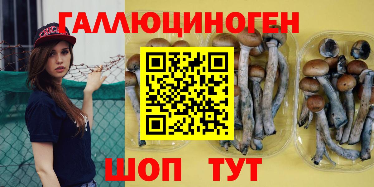 Галлюциногенные грибы MAGIC MUSHROOMS  Вход с VPN  Усть-Илимск 